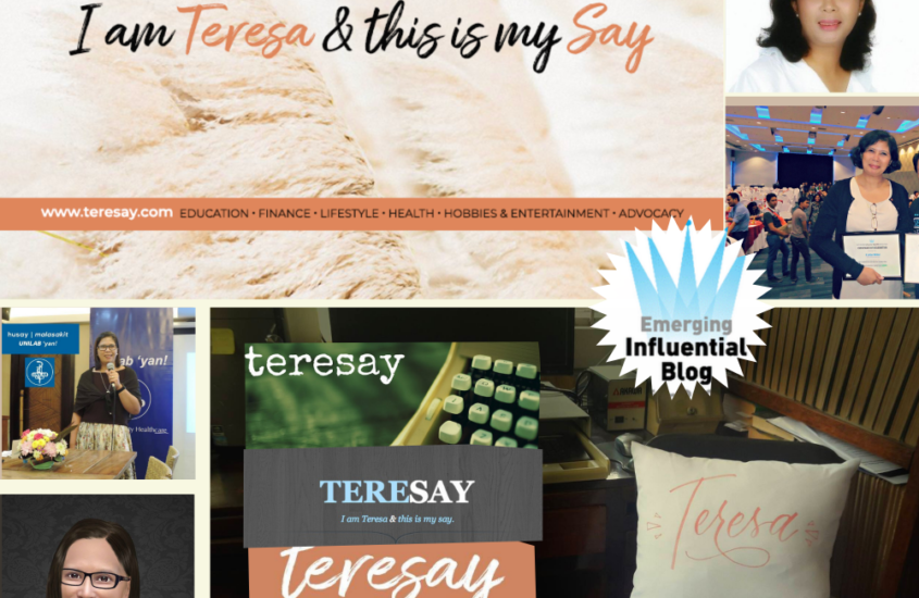 Teresay: The Story of How I Got My Say